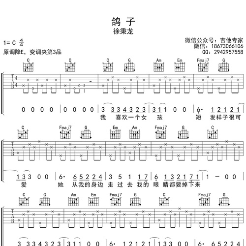 鸽子吉他谱 徐炳龙 C调演奏版吉他六线谱