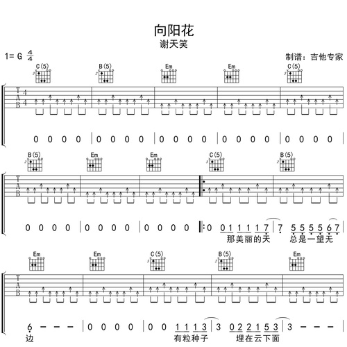 向阳花