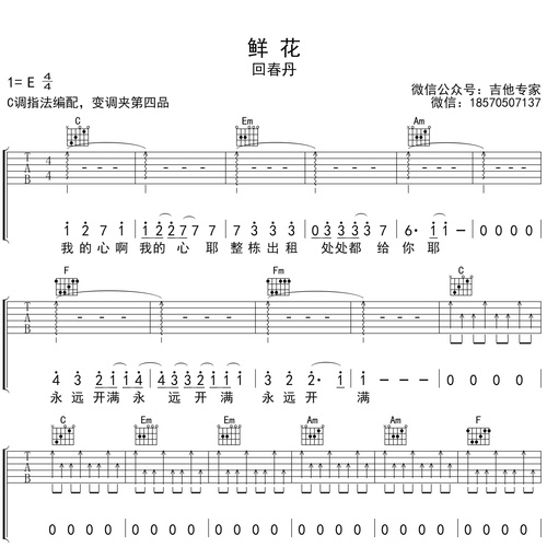 鲜花吉他弹唱谱 回春丹 C调伴奏谱