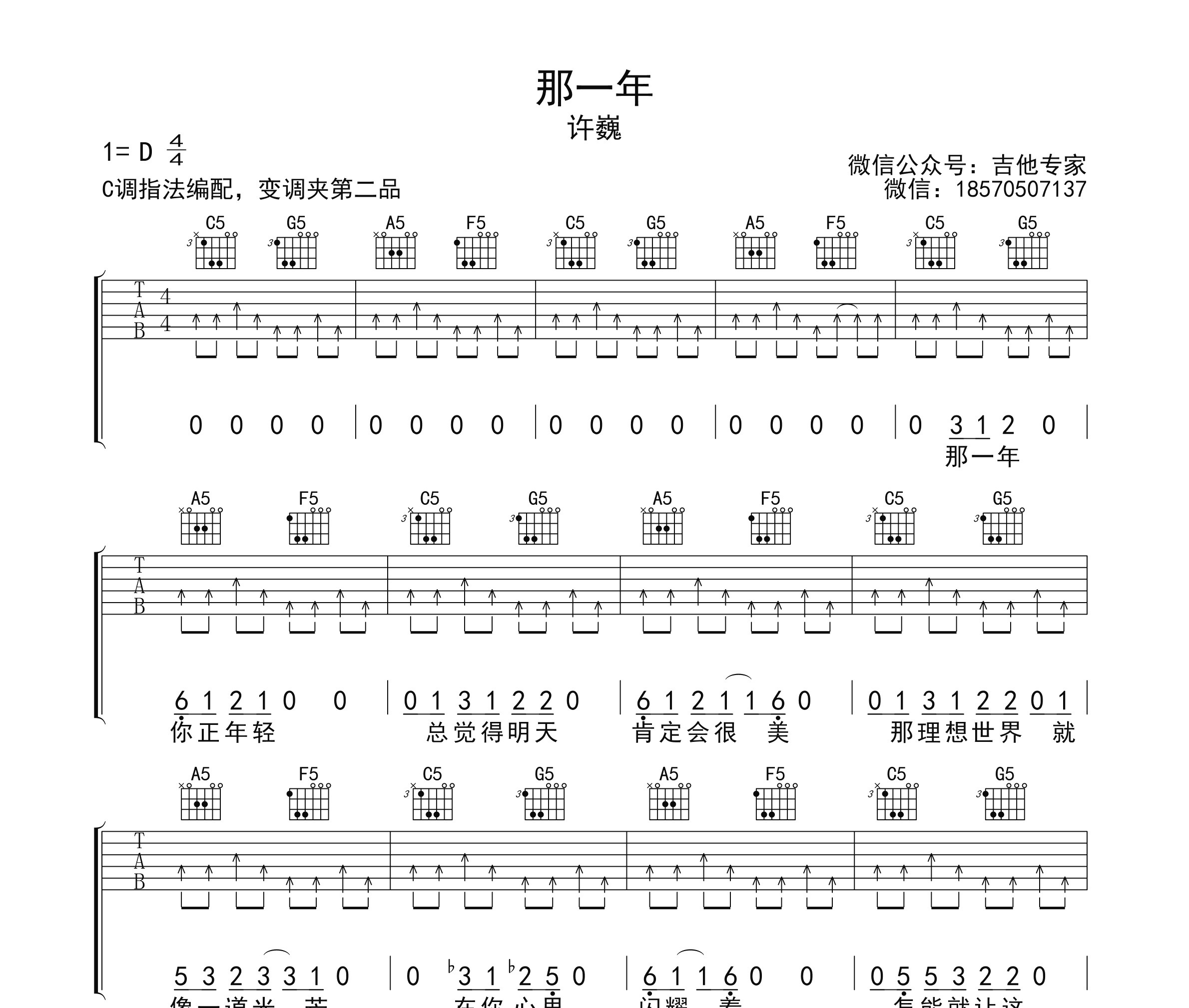 那一年吉他谱